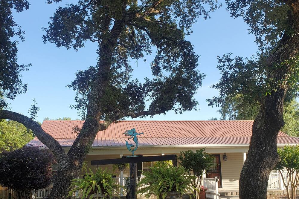 Photo of Others in Magnolia Bluffs