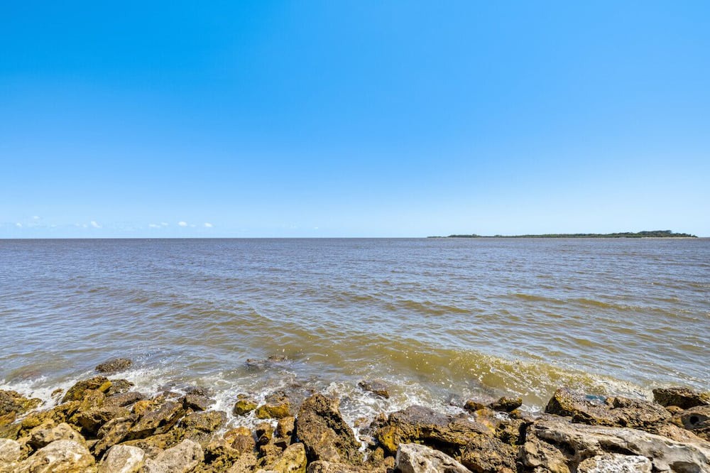 Photo of Others in Cedar Key
