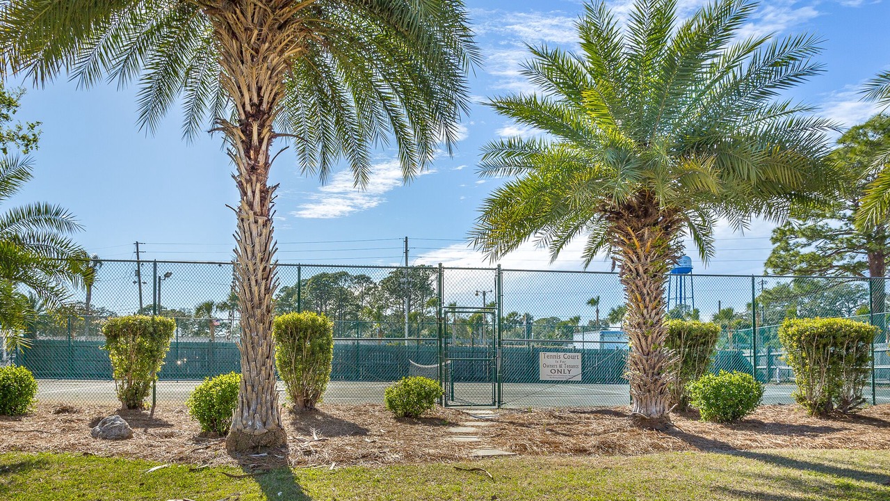 Photo of Outdoor in Panacea
