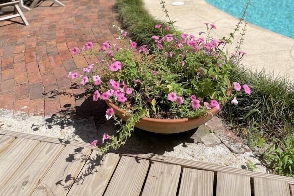 Photo of Outdoor in Gainesville