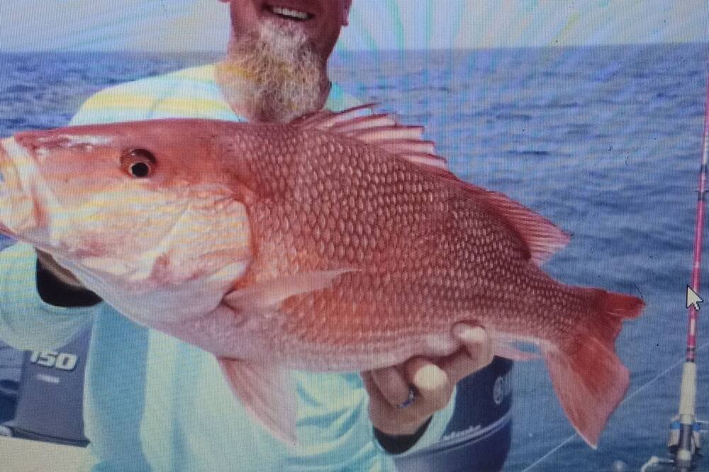 Photo of Others in Cedar Key