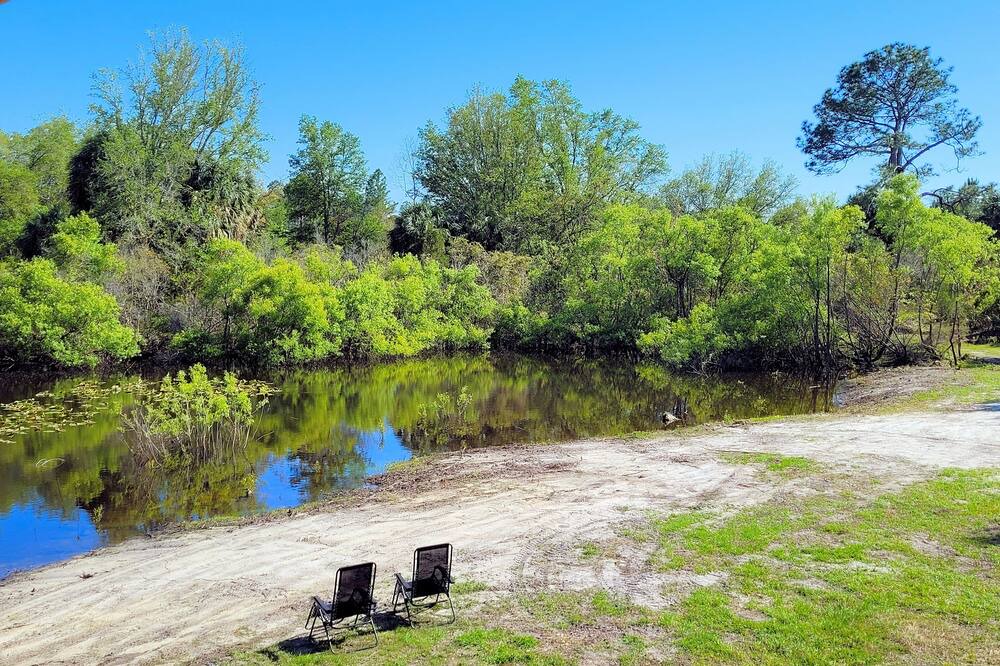 Photo of Outdoor in Cedar Key