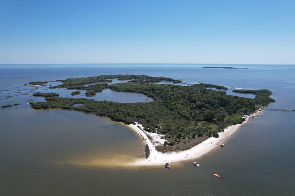 Photo of Outdoor in Cedar Key