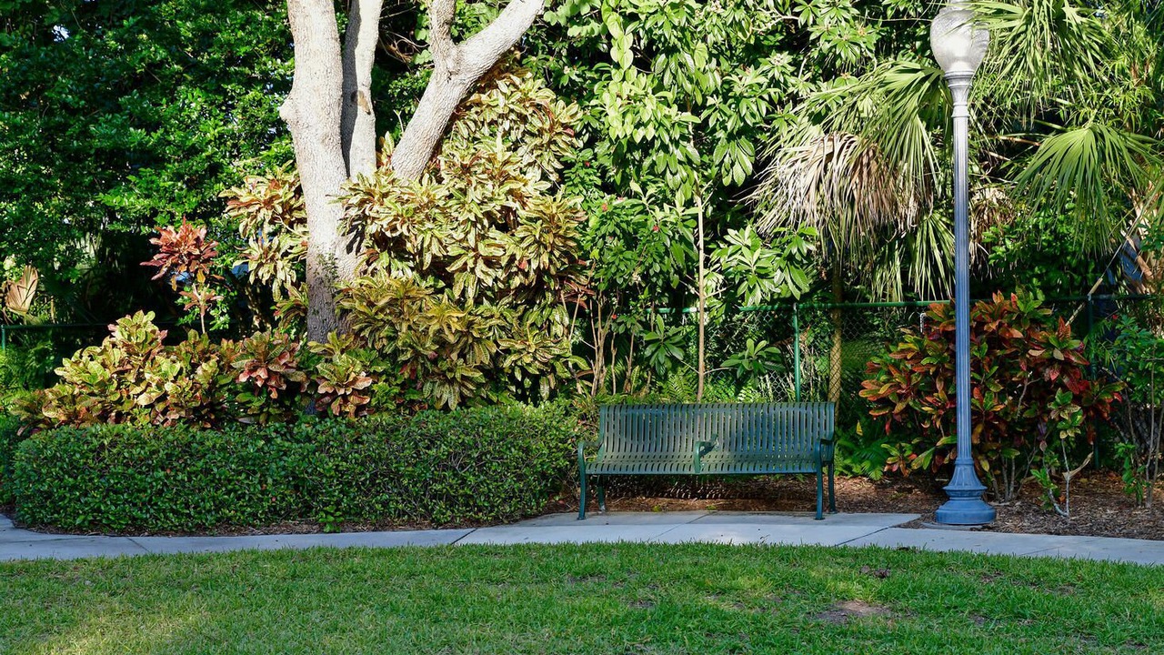 Photo of Outdoor in Laurel Park