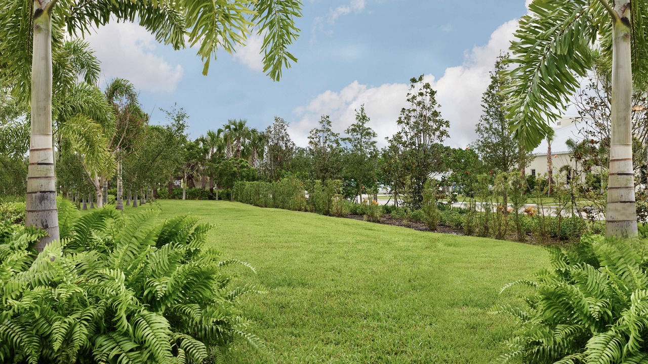 Photo of Outdoor in North River Shores