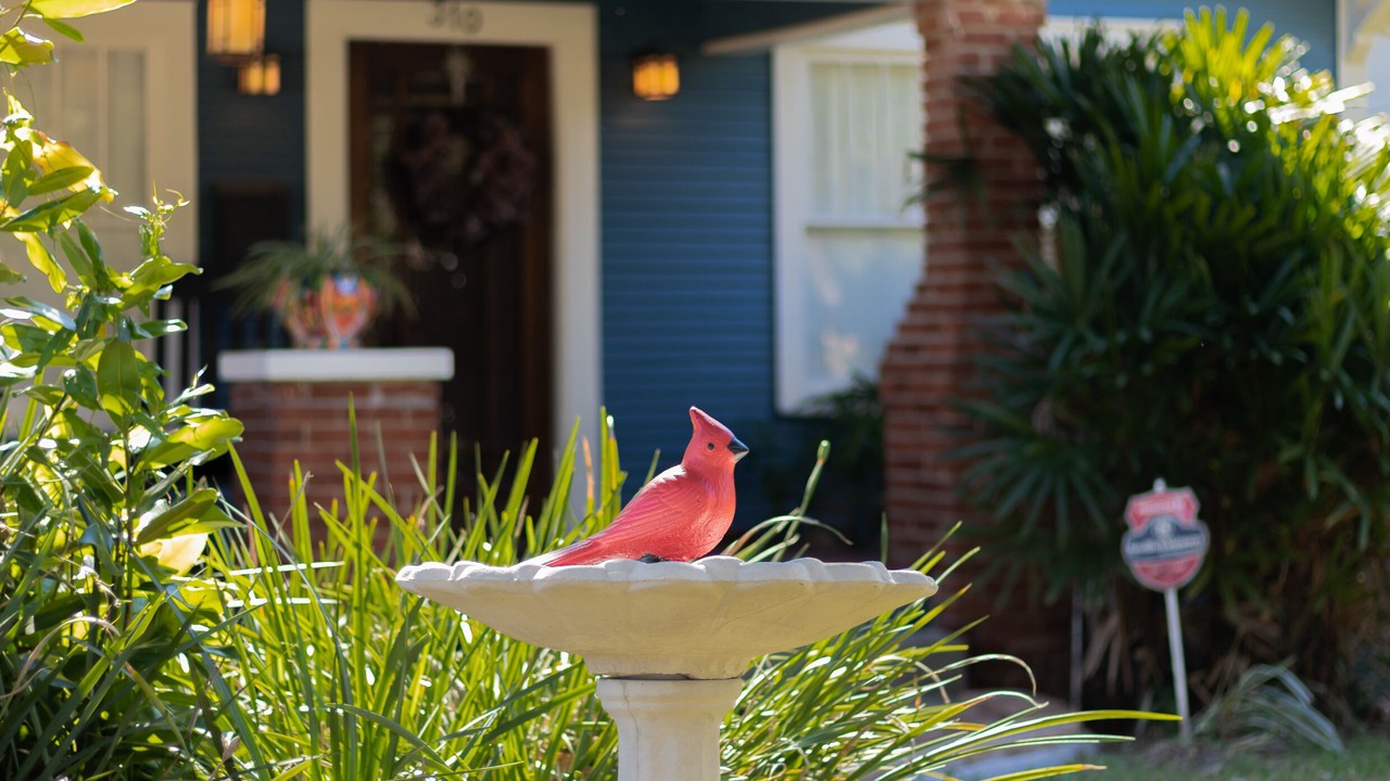 Photo of Outdoor in South Seminole Heights