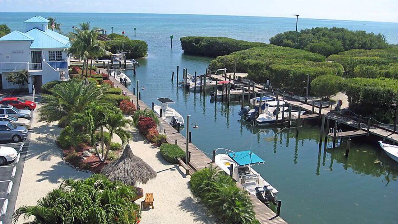 Photo of Others in Tavernier