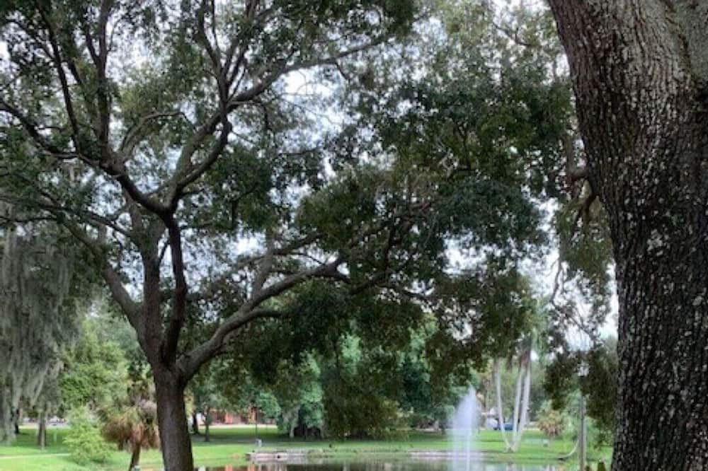 Photo of Outdoor in Historic Uptown
