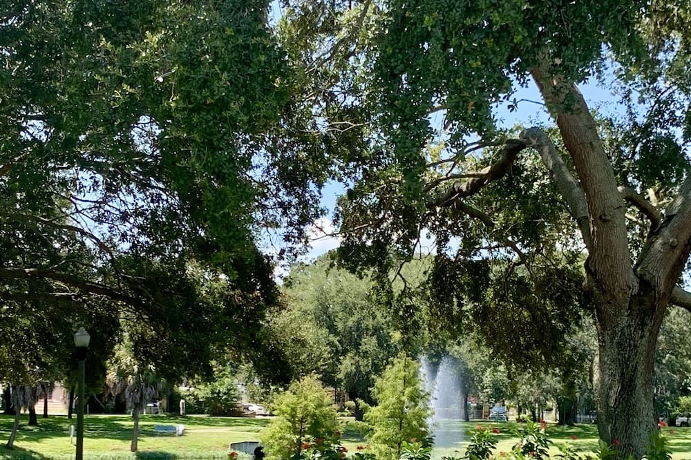 Photo of Outdoor in Historic Uptown