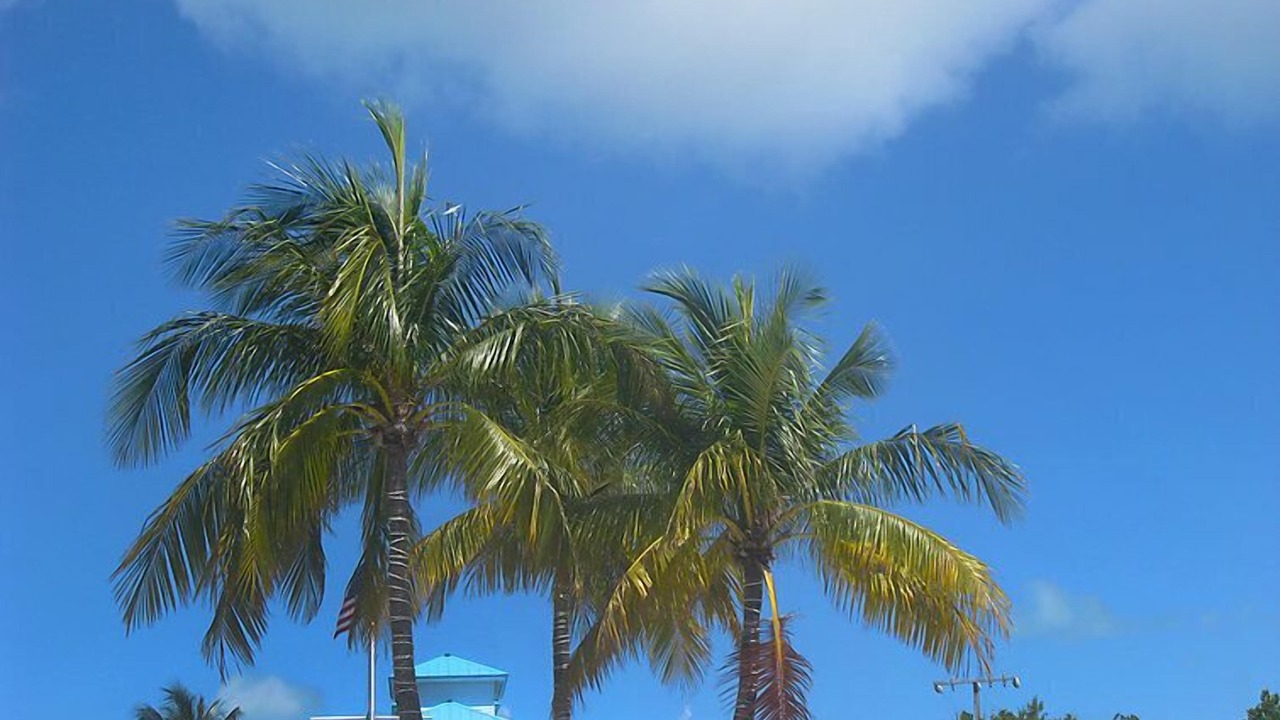 Photo of Others in Tavernier