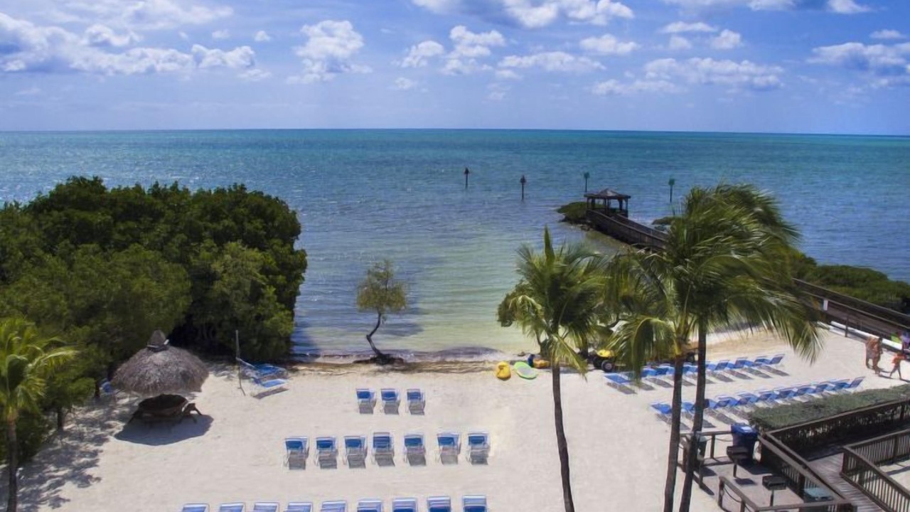 Photo of Others in Tavernier