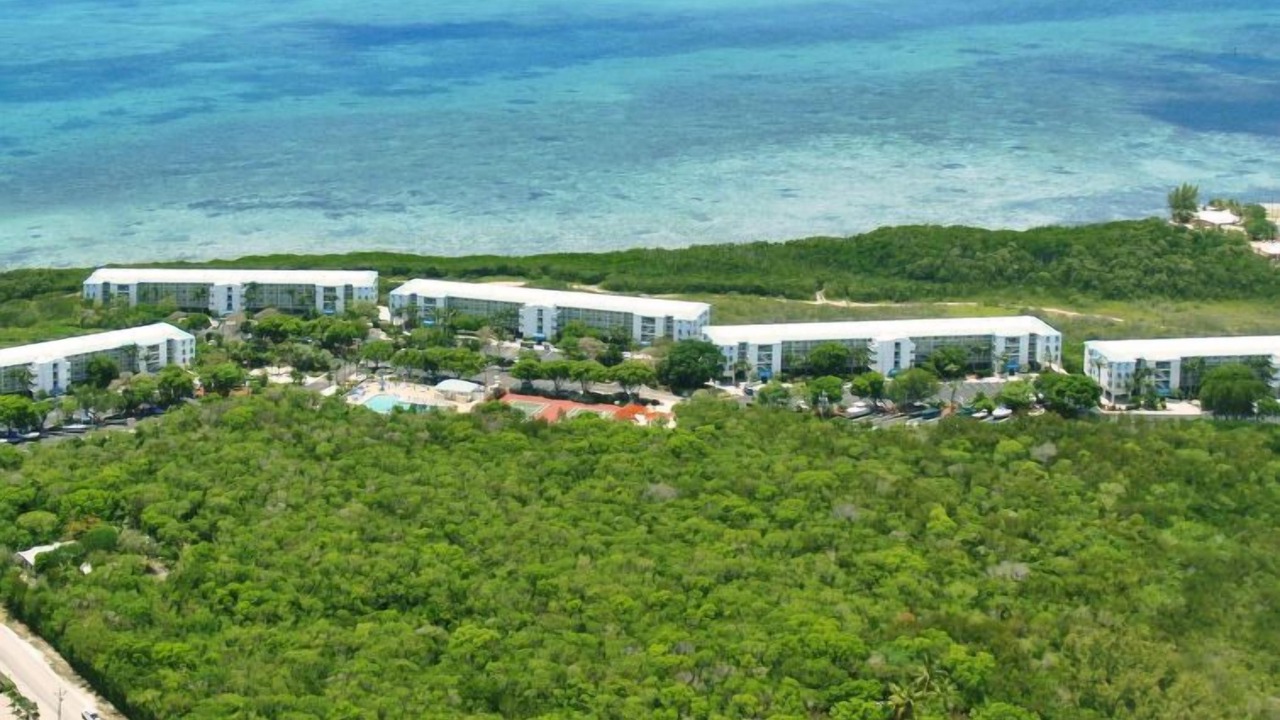 Photo of Outdoor in Tavernier