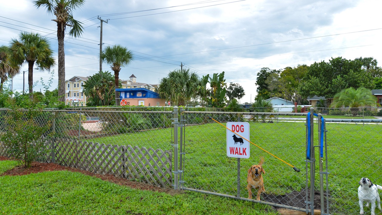 Photo of Outdoor in Okeechobee