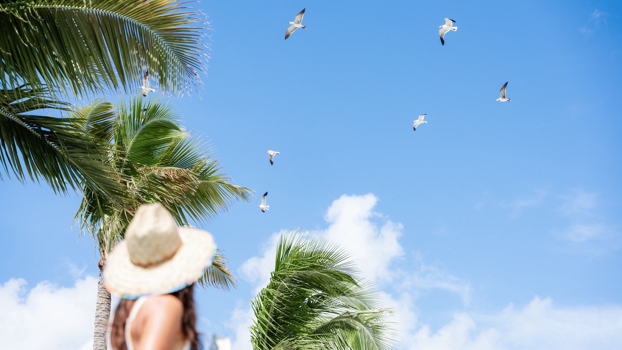 Photo of Outdoor in Islamorada