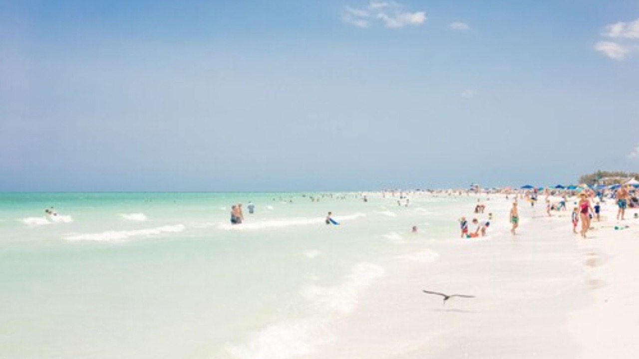 Photo of Others in Sarasota