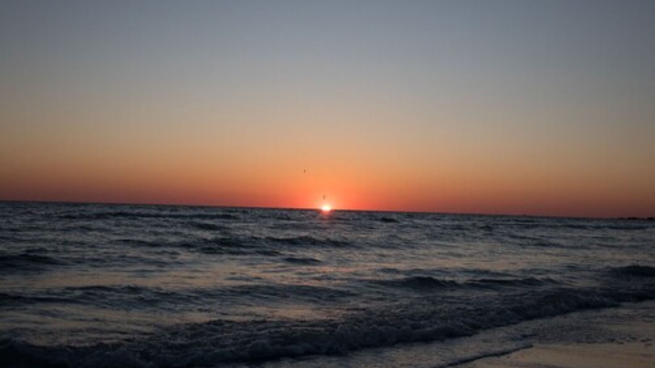 Photo of Others in Sarasota