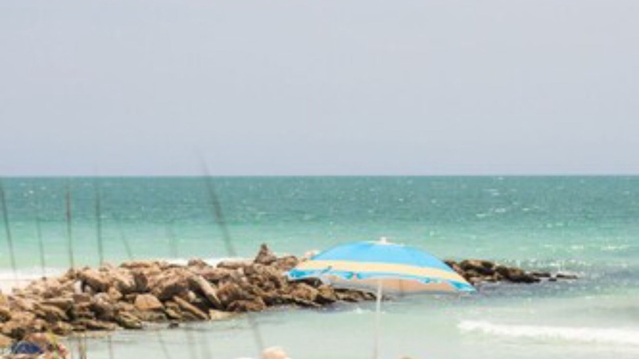 Photo of Others in Sarasota