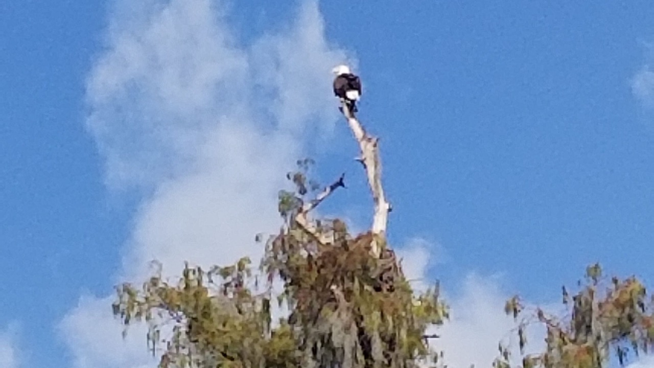 Photo of Others in Hawthorne