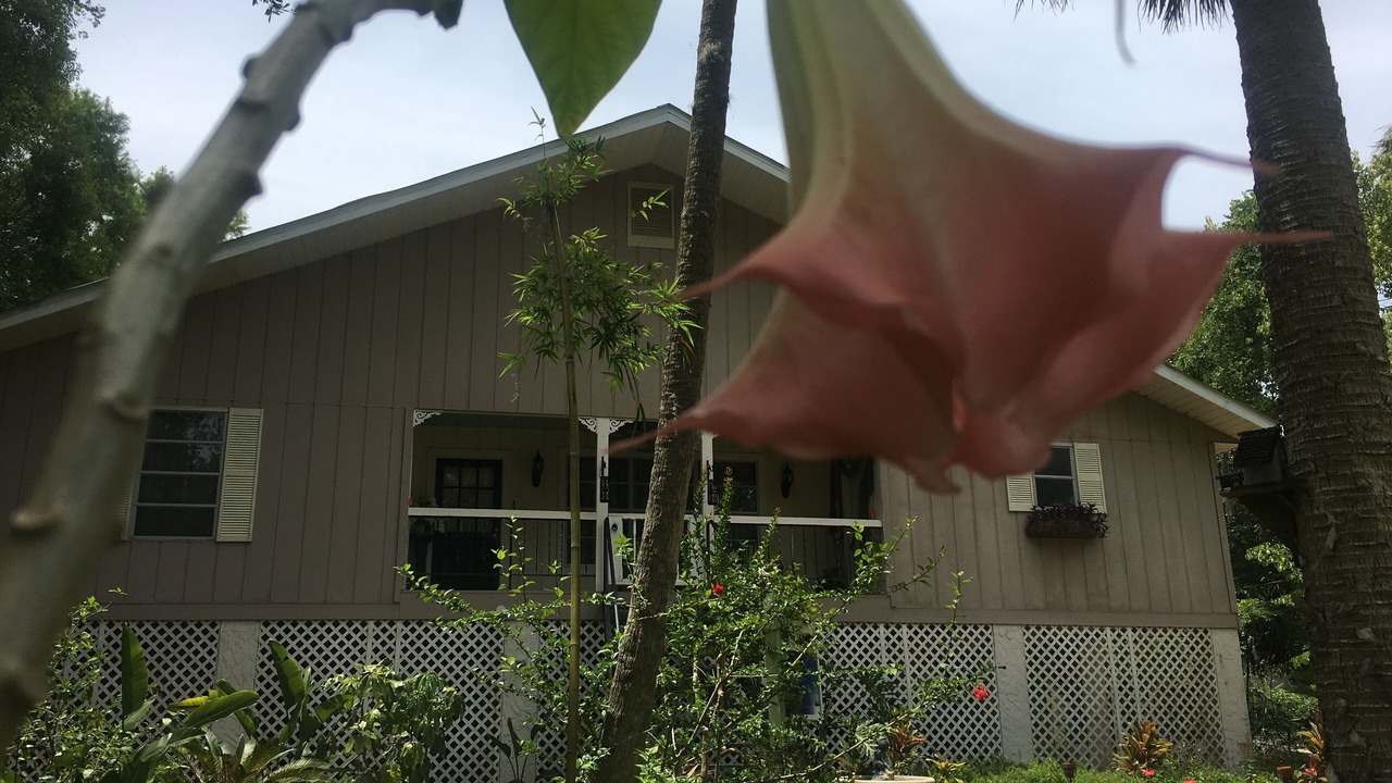 Photo of Outdoor in Yankeetown