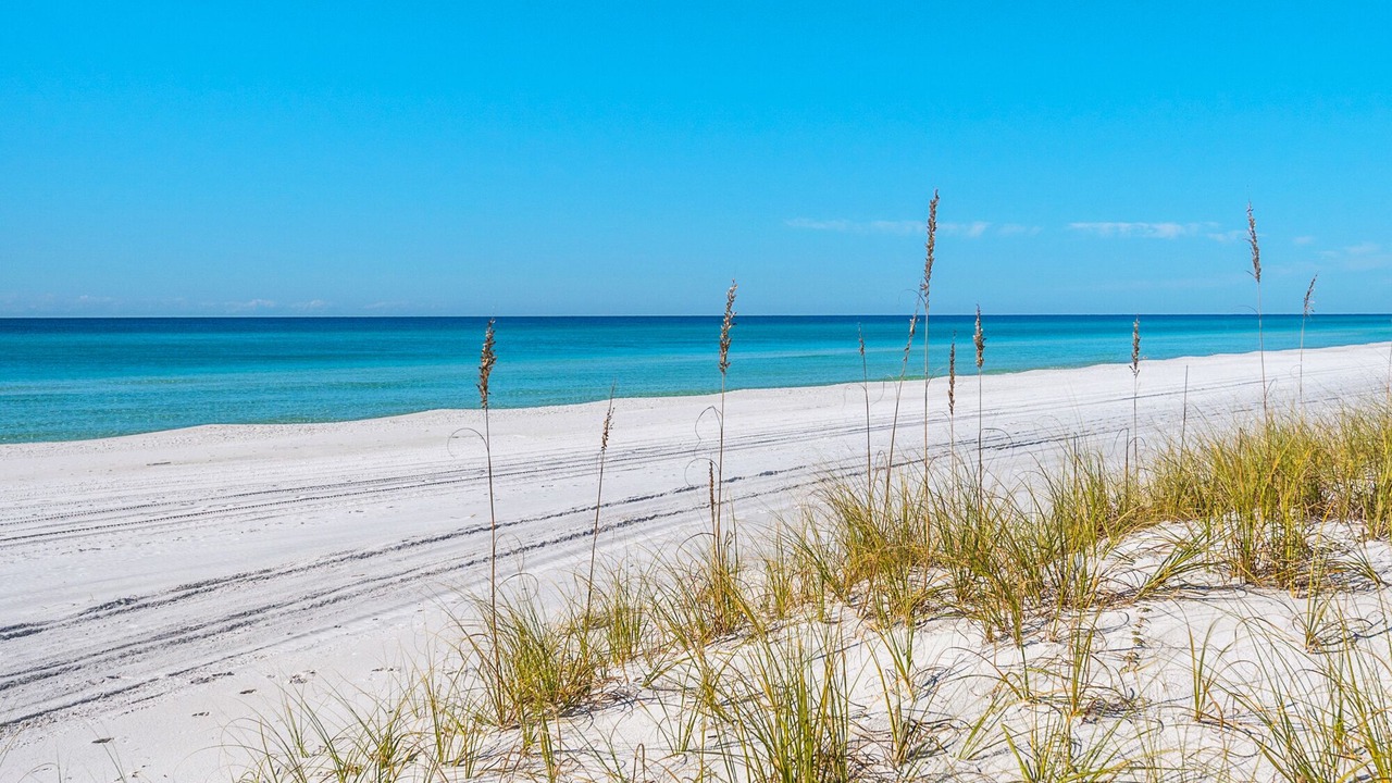 Photo of Others in Santa Rosa Beach
