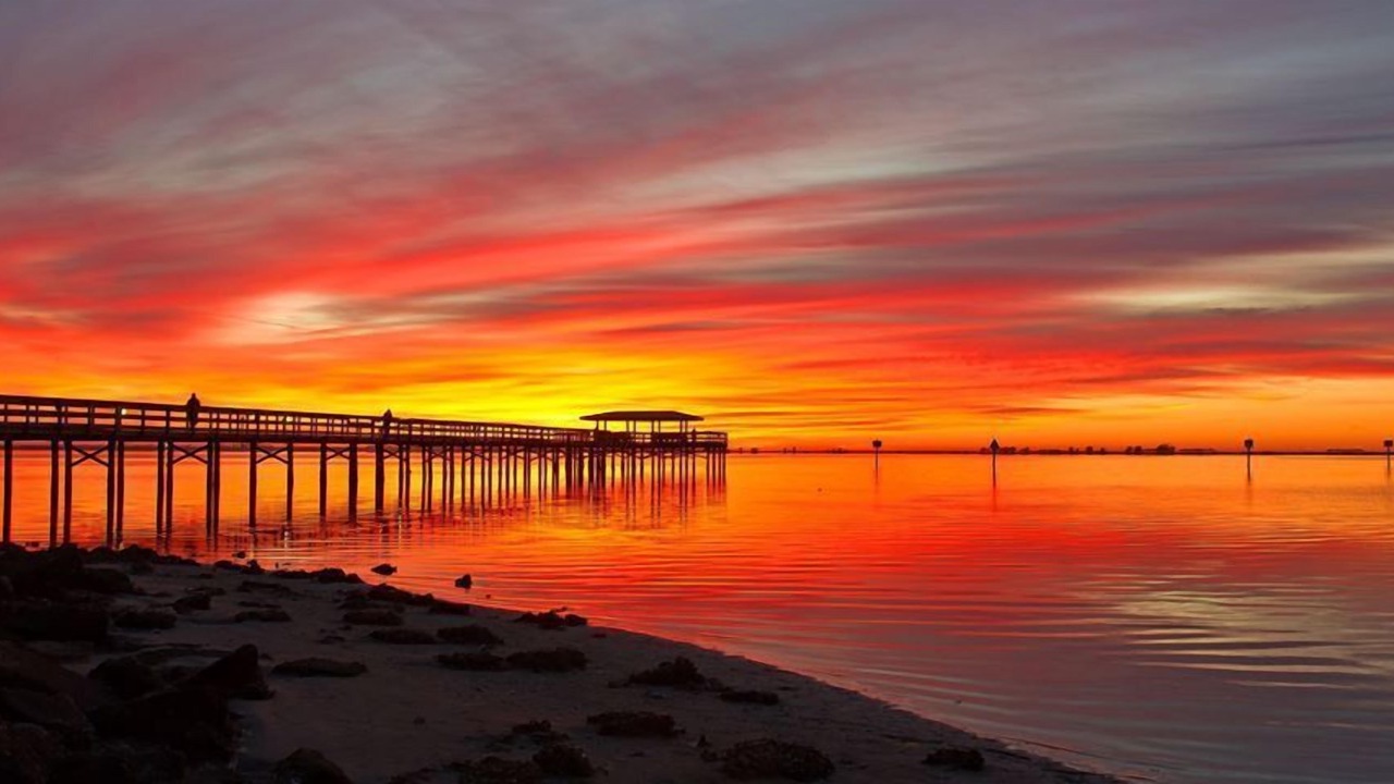 Photo of Others in Clearwater