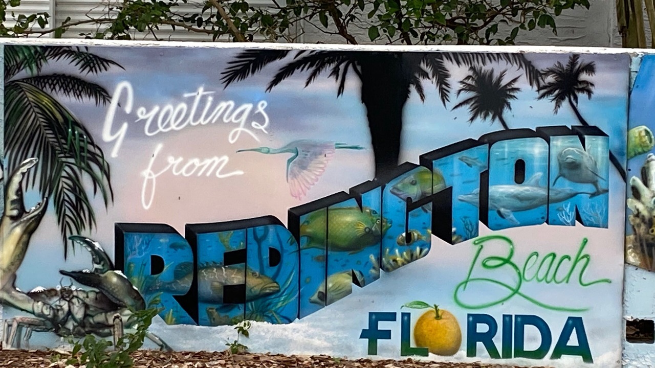 Photo of Outdoor in Redington Beach