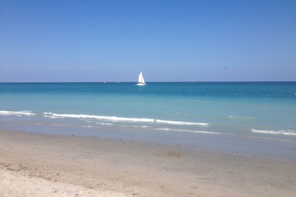 Photo of Others in Palm Beach