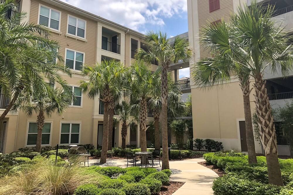 Photo of Outdoor in St. Petersburg - Clearwater