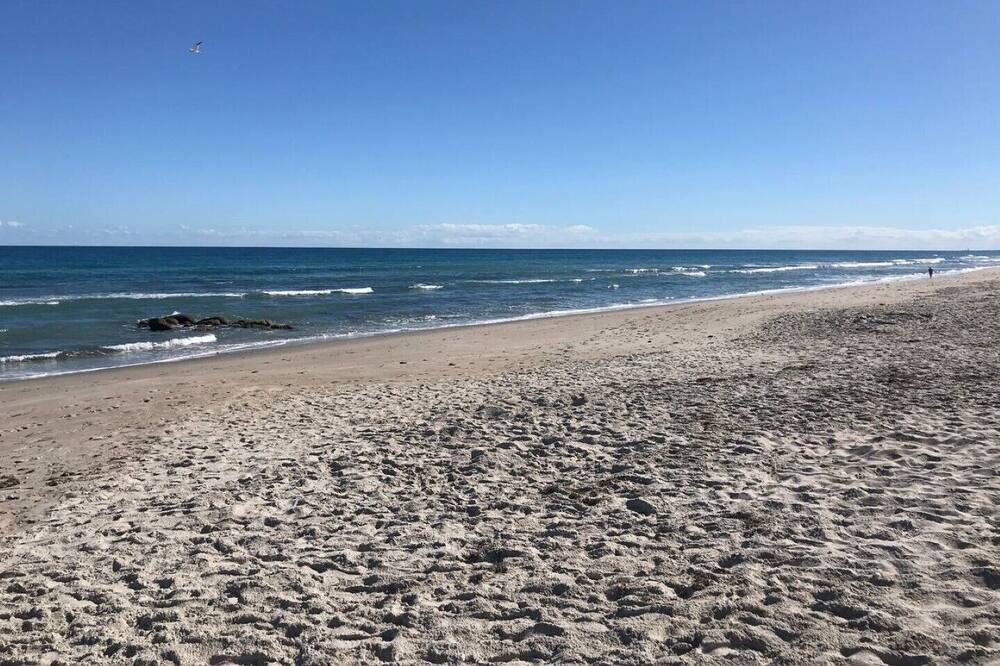 Photo of Others in Satellite Beach