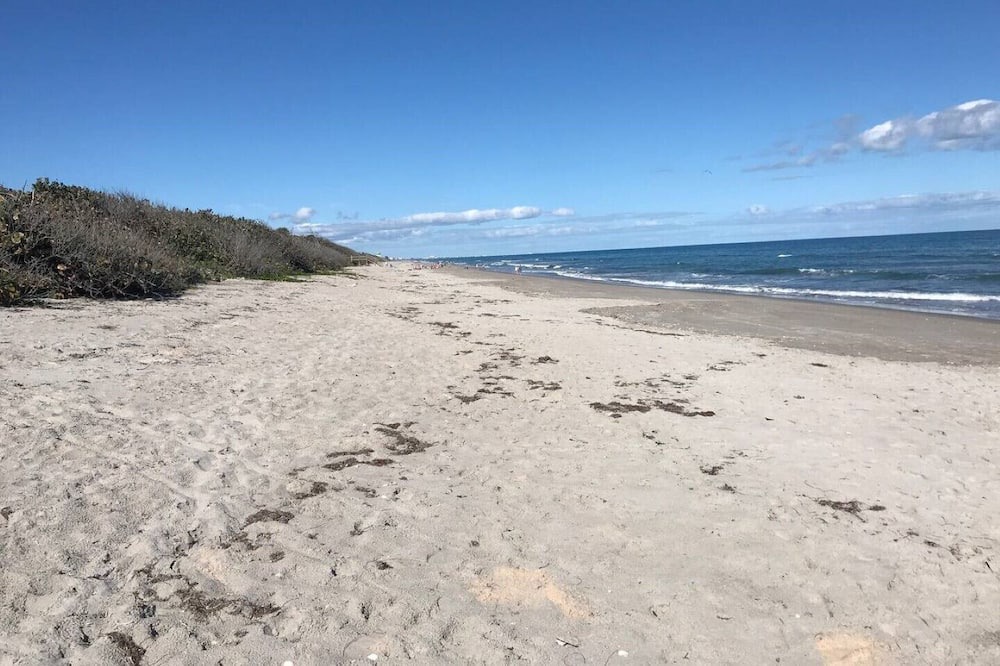 Photo of Others in Satellite Beach