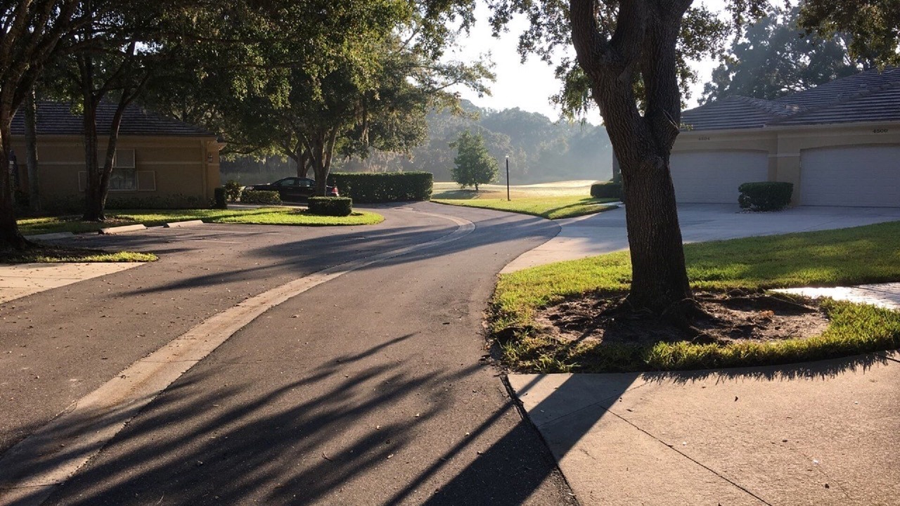 Photo of Outdoor in The Meadows