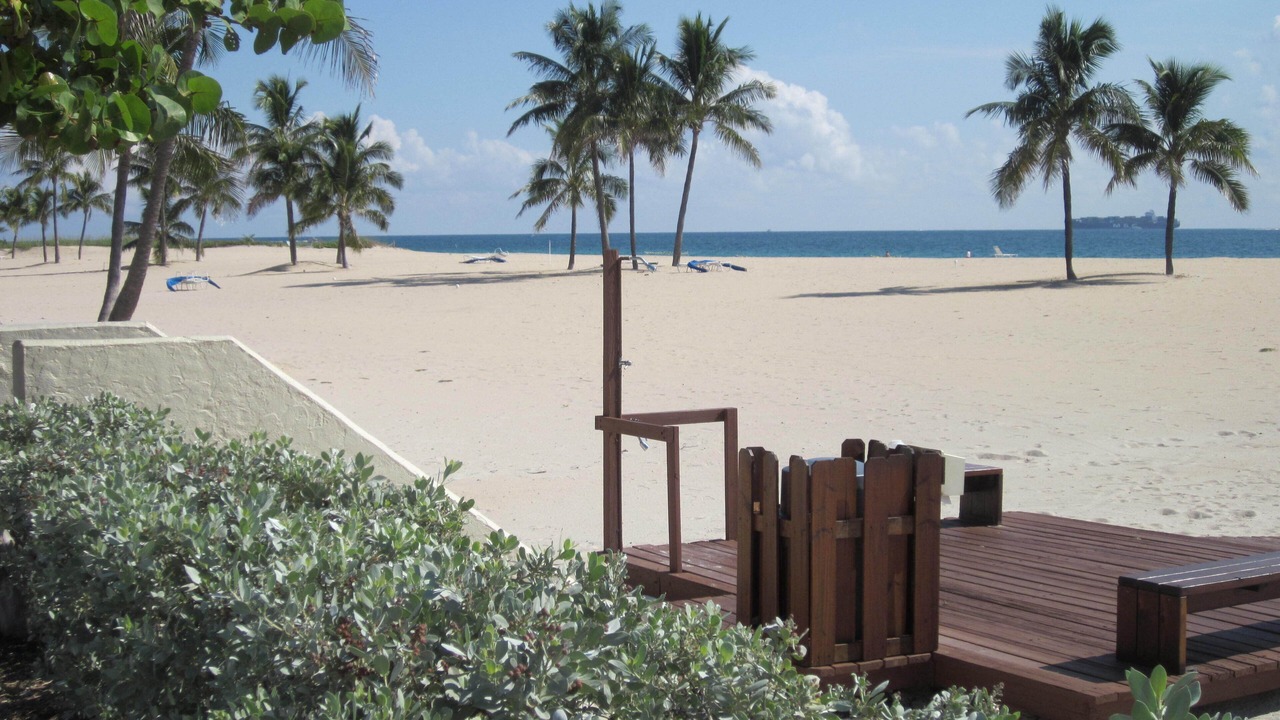 Photo of Others in Barrier Island