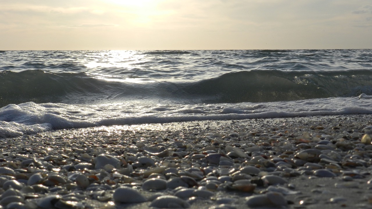 Photo of Others in Barrier Island