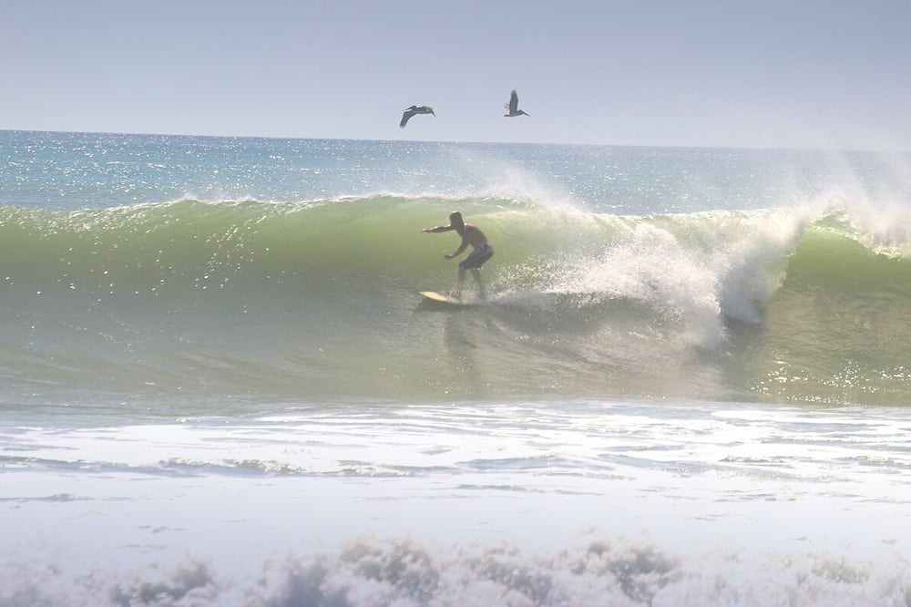 Photo of Others in Indian Harbour Beach