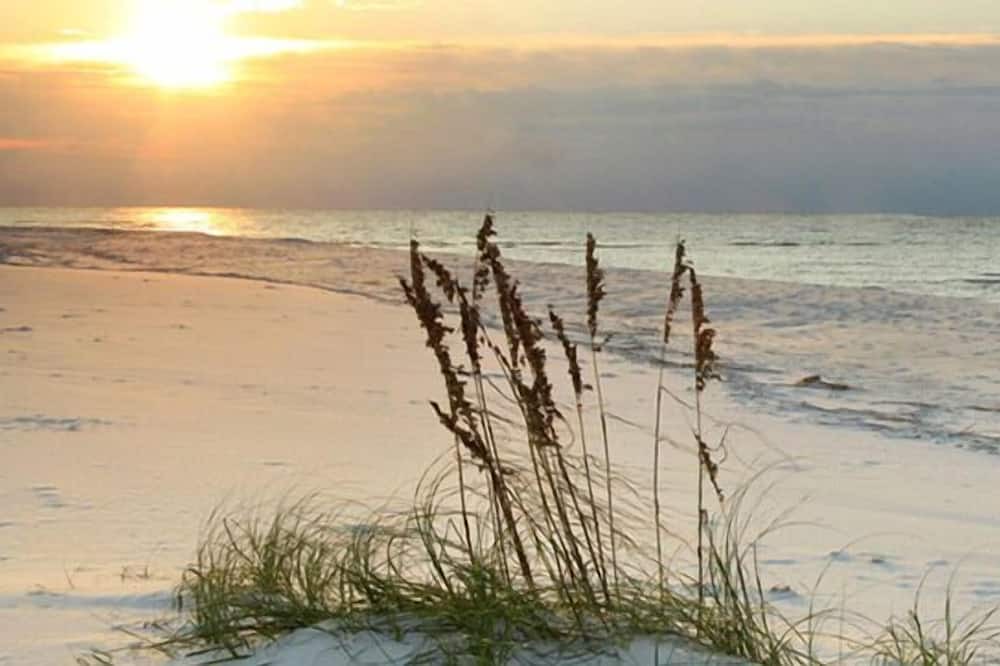 Photo of Others in Indian Harbour Beach