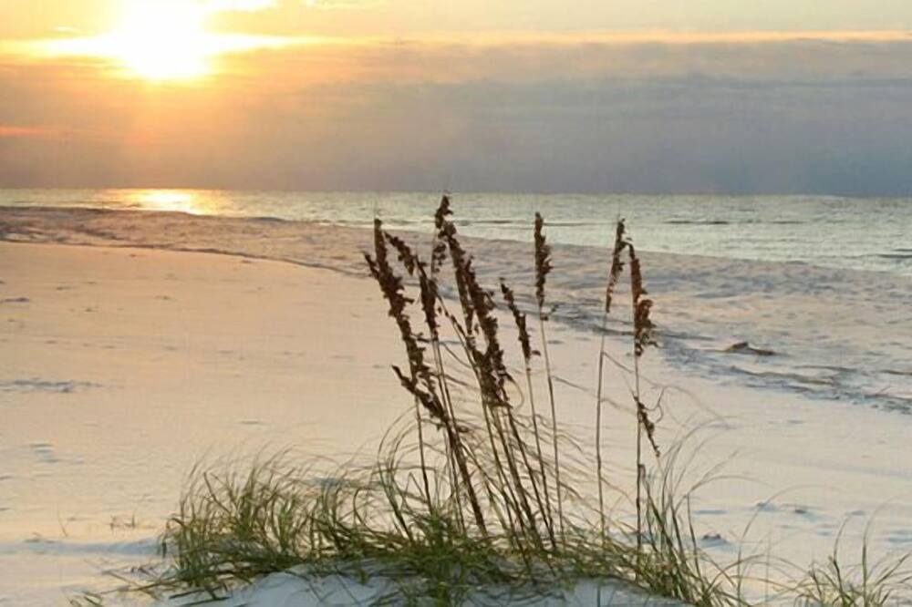 Photo of Others in Indian Harbour Beach