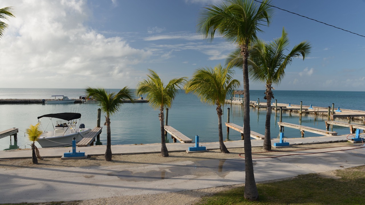 Photo of Others in Long Key