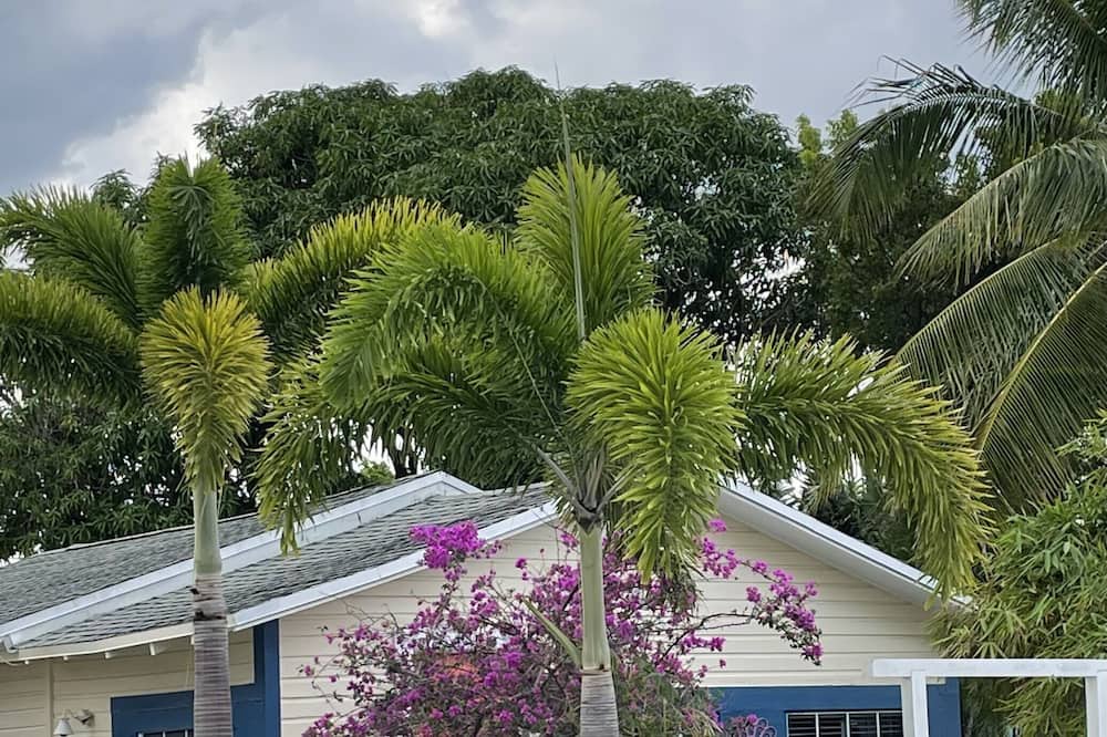 Photo of Outdoor in Mango Groves