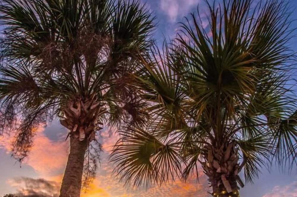 Photo of Outdoor in Crystal River