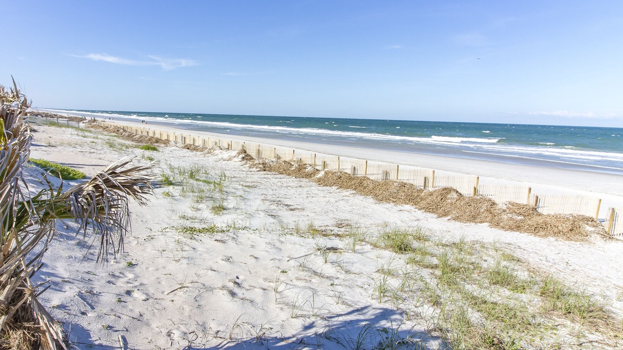 Photo of Others in Ponte Vedra Beach