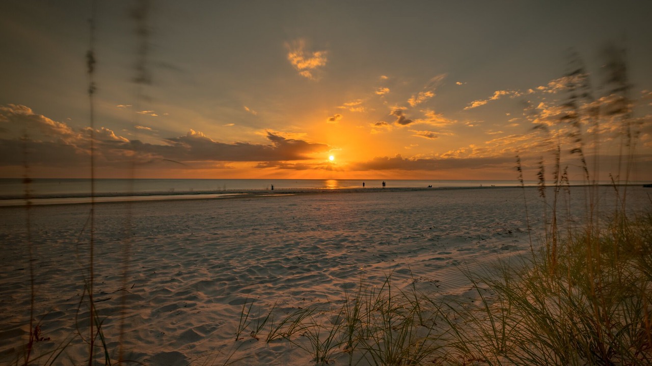 Photo of Others in Ponte Vedra Beach