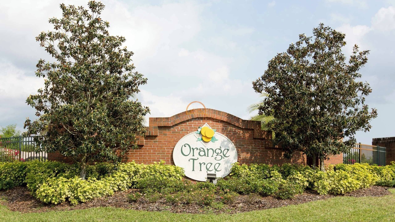 Photo of Outdoor in Orange Tree