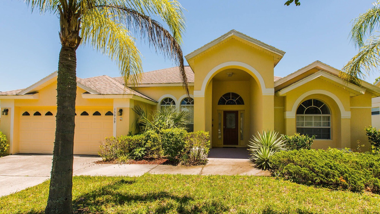 Photo of Outdoor in Orange Tree