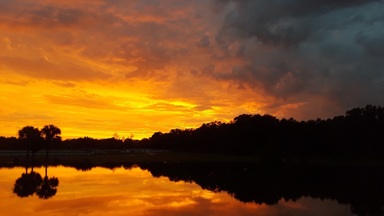 Photo of Outdoor in Weirsdale