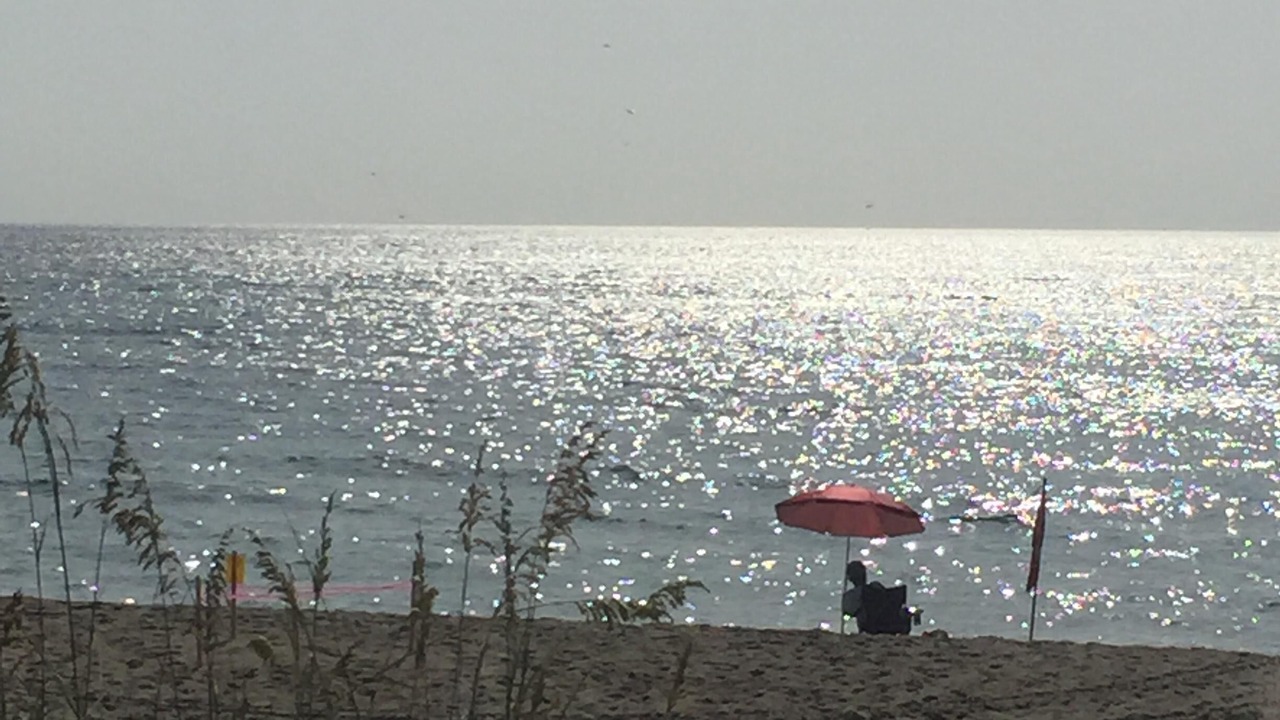 Photo of Others in Parrot Cove