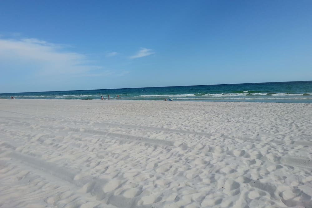 Photo of Others in Fort Bay