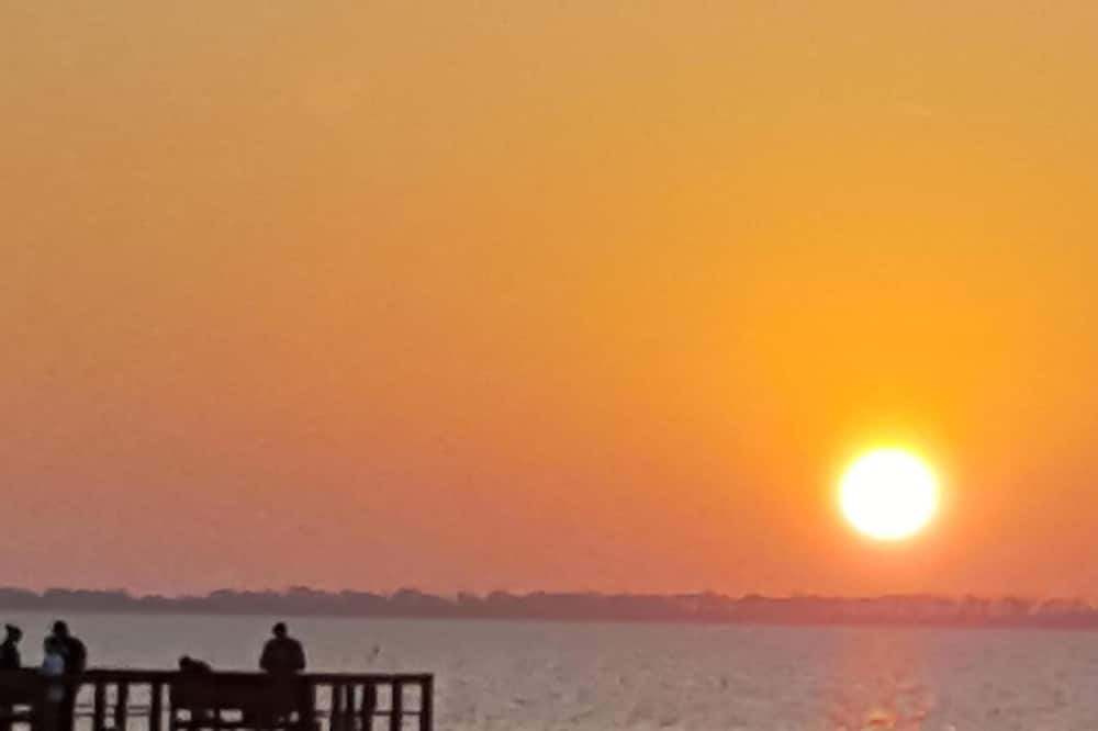 Photo of Others in Palm Harbor