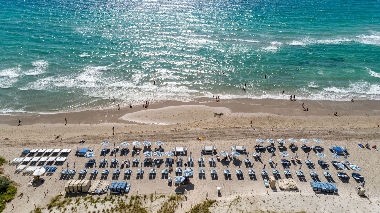 Photo of Others in Hallandale Beach