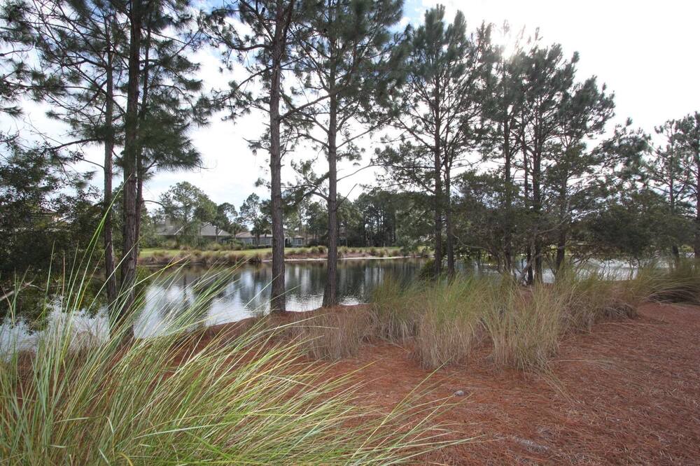 Photo of Outdoor in Laurel Grove