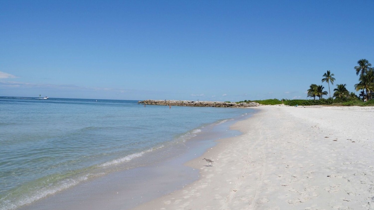 Photo of Others in Coquina Sands